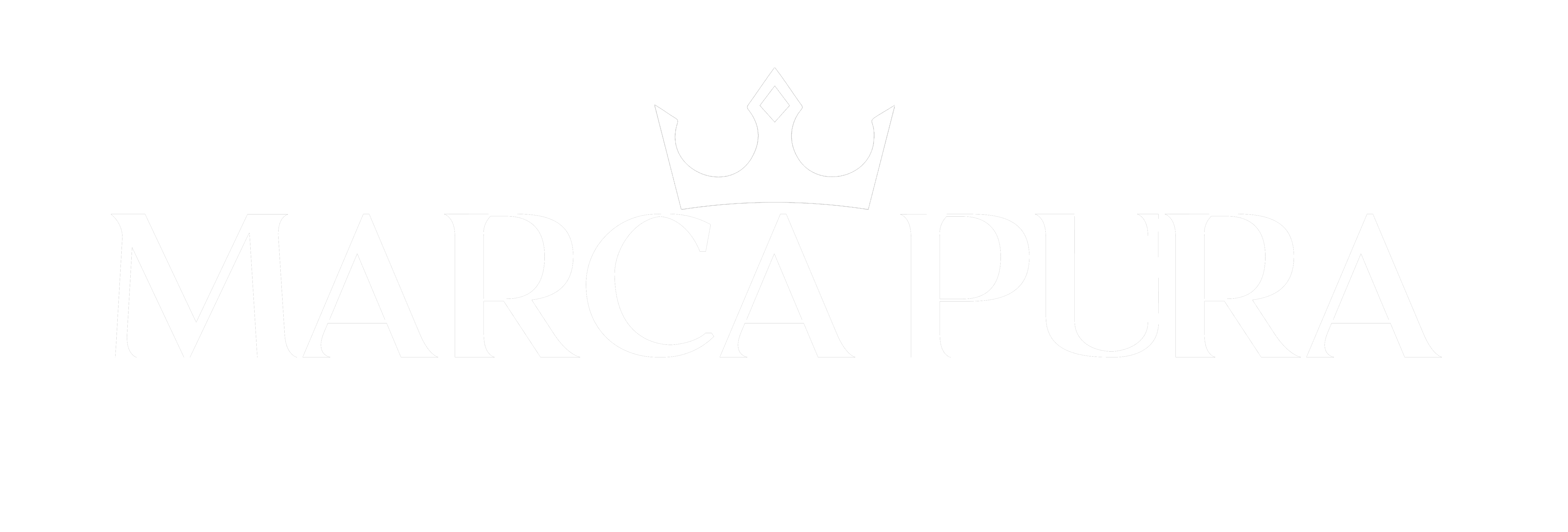 Logo Design Project for a Client